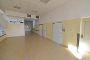 urologie
