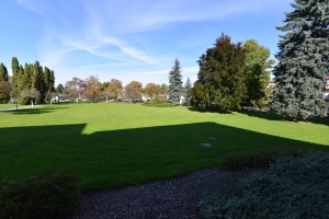 AAA_1140
