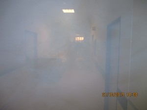 IMG_0105