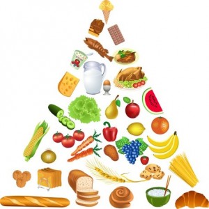 3-food-pyramid-vector-10740